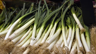 Au 9 février 2026, les prix du poireau sont « anormalement bas », selon FranceAgriMer.