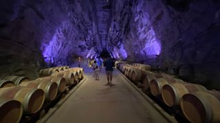 Dans ce vaste chai où s'lignent 1 500 barriques de 225 litres à une température constante de 16°C, un spectacle de son et lumière lance la visite guidée.