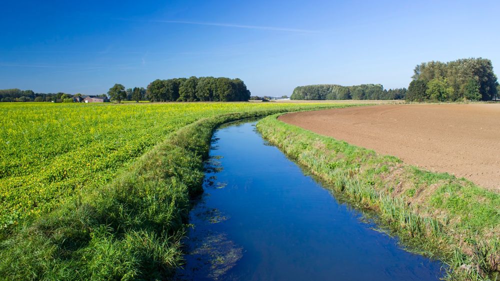 La proposition de loi vise à interdire, au 1er janvier 2030, « l'utilisation de pesticides de synthèse et d'engrais azotés minéraux à l'intérieur des aires d'alimentation des captages associées à des points de prélèvement sensibles ».