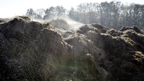 Les engrais Renure (pour « REcovered Nitrogen from manURE » ou « azote issu d’effluents d’élevage ») sont des produits fertilisants fabriqués à partir de fumiers ou lisiers.