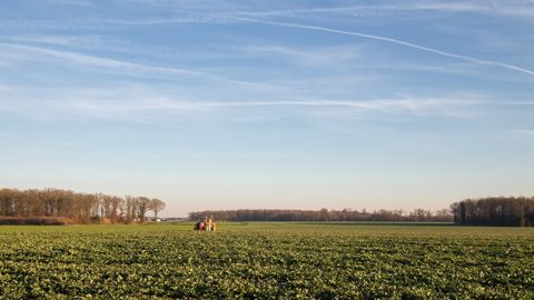 Les surfaces de colza d’hiver, estimées à près de 1,4 Mha, dépasseraient de près de 12 % la sole moyenne de la période 2021-2025.