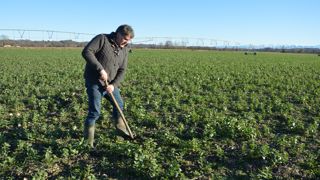 Jean-Luc Bongiovanni a amélioré la structure de son sol : taux de matière organique (MO), réservoir d'eau facilement utilisable (RFU), biodiversité…