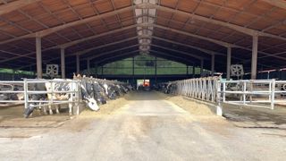 Ferme laitière espagnole