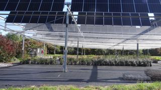 Les panneaux équipés de « trackers » sont orientables pour laisser passer plus ou moins de lumière et d’ensoleillement selon les besoins des cultures avec des phases d’ombrage des plantes, et des phases d’effacement, comme ici, où on laisse passer le rayonnement (photo prise le 2 octobre vers 12 heures).