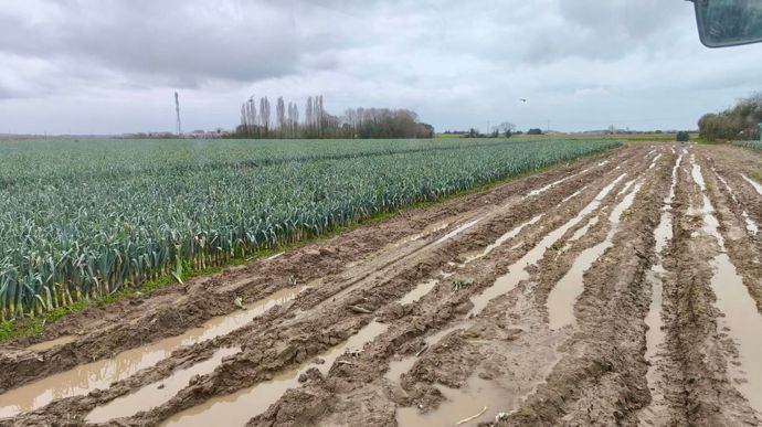 Les conditions de travail des maraîchers sont éprouvantes. Ici dans un champ de poireaux, dont les prix de vente ne couvrent même pas les charges.