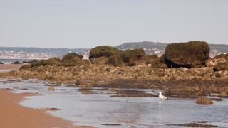 À l’origine du nom insolite « Vaches noires », les roches arrondies forment un dédale au pied de la falaise.