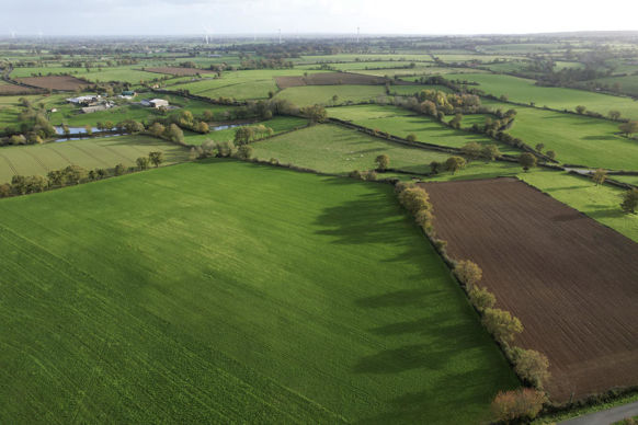 En principe, les contrats de vente d’herbe sont présumées être sous le coup du statut du fermage.