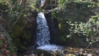 Dans les Cévennes, comme à Mandagout, l'eau afflue dans les rivières et ruisseaux mais parfois l'été en raison de la sécheresse elle peine à manquer.