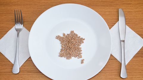 Annie Genevard a présenté mardi les travaux des filières agricoles françaises pour « réarmer » la production à l'horizon 2035.