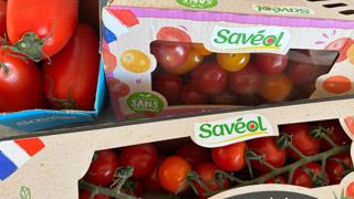 En 2025, Savéol a produit 77 000 tonnes de tomates, soit +3,5 % sur un an.