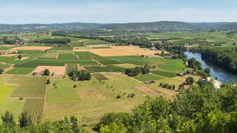 Dans le bassin de l'Adour-Garonne, l'Agence de l'eau estime que « si rien ne change, un litre d'eau sur deux va manquer en 2050 ».