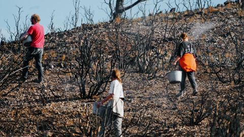 Dans l’Aude, agriculteurs et chasseurs allient leurs forces pour ensemencer plus de 150 hectares dévastés par les flammes.