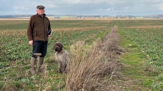 « Le maillage haies – bandes enherbées fleuries représente plus de 8 km de linéaires, soit plus de 5 hectares répartis sur l’ensemble de l’exploitation, tant en périphérie qu’au cœur des îlots, comme ici », précise Laurent Vermesch, agriculteur dans l’Eure.