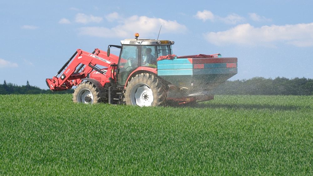 Epandage engrais azoté granulé sur champ de blé