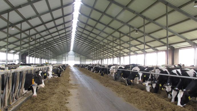 Des négociations commerciales plus régulières avec la grande distribution semblent plus propices à aller chercher des hausses de tarif outre-Rhin.