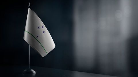 « En pleine semaine du Salon international de l'agriculture, Ursula von der Leyen choisit de passer en force », a dénoncé l'eurodéputée française Céline Imart.