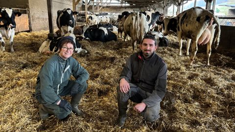 Potentiel. L’aire paillée a une surface de 525 m² dont 350 m² occupés par 55 à 60 vaches en lactation. L’objectif d’Armand Guilbert est de construire un bâtiment à moindre coût à côté pour héberger les vaches taries et les génisses amouillantes. La place libérée lui permettra d’agrandir le troupeau et ainsi diluer ses charges de structure. Mais pour cela, il doit d’abord consolider sa trésorerie. Il est secondé par sa mère Marie-France qui est salariée à mi-temps sur l’exploitation.