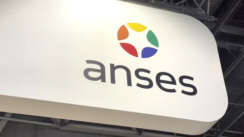 L'Anses alerte sur sa capacité de traitement limitée « toute demande surnuméraire, tout réajustement d’un processus, a des conséquences », indique Charlotte Grastilleur, directrice générale déléguée en charge du pôle des produits réglementés de l'Agence.