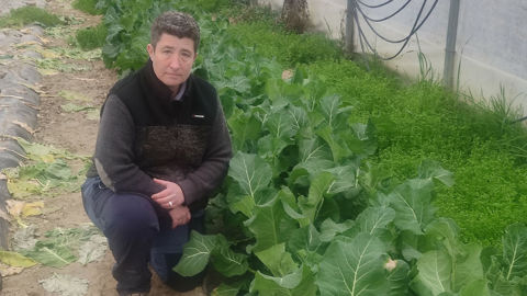 Laetitia Darré, maraîchère à Cahuzac-sur-Adour, livre l’Ehpad de Termes-d’Armagnac, à 10 km de son potager.