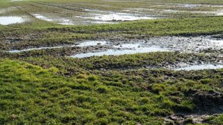 A la sortie de l'hiver, les sols sont saturés d'eau sur la quasi-totalité de la France.