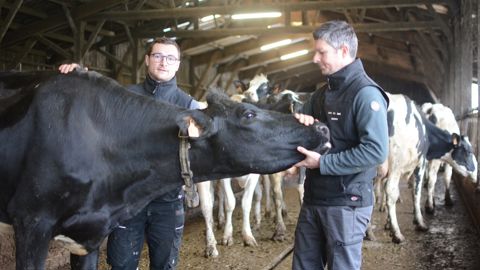 La relève se prépare au Gaec du Bois-Rocher : GBR Tinette présente les mêmes qualités que sa grand-mère Banette, solide, de bonnes pattes, une très bonne mamelle, peu de cellules.