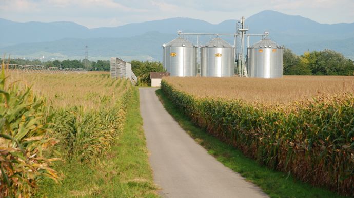 L'adaptation au changement climatique sera technique et économique en Alsace où le maïs couvre un peu plus de 106 000 hectares.