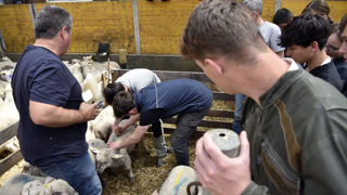 Le palmarès comprend les lycées publics et privés de l’enseignement agricole tout en incluant les maisons familiales et rurales (MFR), ainsi que les centres de formation d’apprentis (CFA).