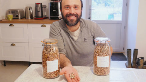 Agréablement surpris par les qualités gustatives du haricot du Cheylard, Thomas Fricker compte réitérer la culture en 2026, avec une partie qui sera cultivée en plein champ.