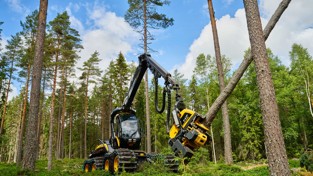 Les entreprises forestières privilégient les têtes de bucheronnage de grande ou très grandes capacité.