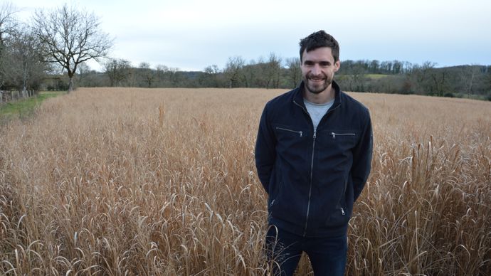 Rémy Vermande devant sa parcelle de switchgrass, qu’il va récolter pour la première fois cette année, deux ans après son implantation.