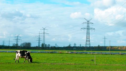 RTE et Chambres d’agriculture France s’engagent à proposer un diagnostic électrique gratuit à tous les éleveurs de ruminants et d’équins, localisés à proximité de nouvelles lignes à haute tension.