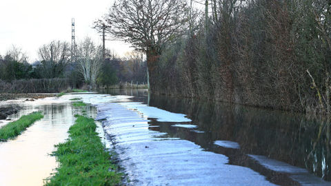 Dans certains départements, les intempéries ont empêché l'accès aux parcelles et l'entretien des haies aux périodes autorisées.