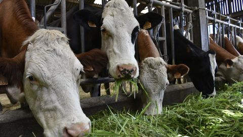 Les aides Pac à la conversion au bio n'ont pas toutes été consommées en 2025, comme les années passées.