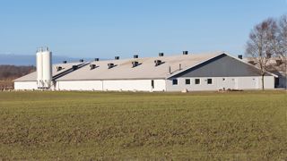 MHyo, PCV2 : que reste-t-il à optimiser dans des élevages largement vaccinés ?