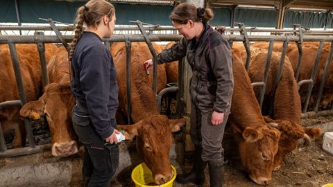 Les élèves de seconde générale ont un stage obligatoire de deux semaines à réaliser du 15 au 26 juin 2026.