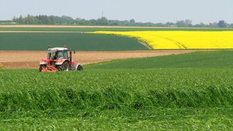 Perturbation et chute des températures au programme de la fin de semaine