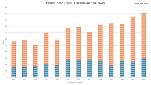 Le Brésil et l'Argentine devraient cumuler une moisson record de maïs.