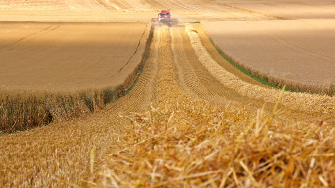 Cadmium : des solutions sur-le-champ, via l’apport de micronutriments - Meunerie
