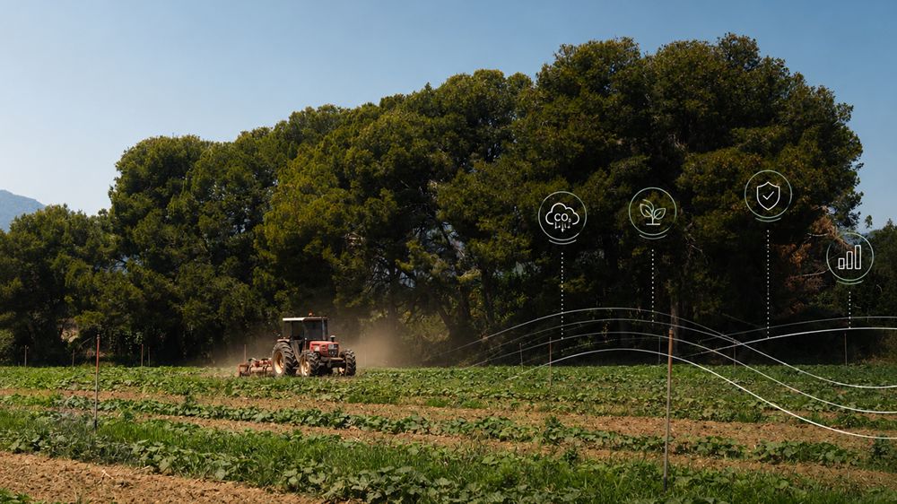 Visite de l’une des exploitations agricoles pilotes participant au projet – Verdcamp Fruits, Espagne (traité avec l’IA)