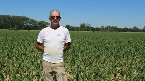 Le Gaec du moulin de la Palue compte 110 hectares de maïs, dont 50 ha de maïs pop corn.