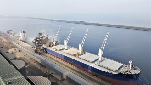 La Commission européenne estime pour l'instant à 29,5 Mt les exportations européennes de blé tendre sur la campagne de commercialisation 2026/27.