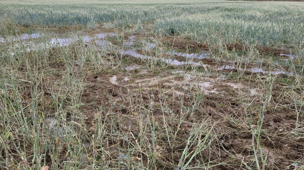 Grele Grêle : les démarches à accomplir en cas de dégâts