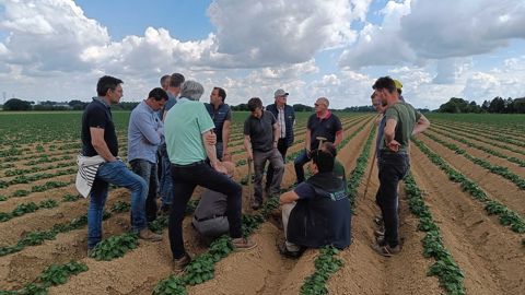 Une journée terrain organisée avec des agriculteurs du programme Covalo Hauts-de-France.
