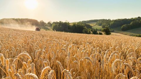 « Les cours des céréales ne compensent pas la hausse constante des coûts de production observée ces dernières années », note Sylvain Jessionnesse de Piloter sa ferme.