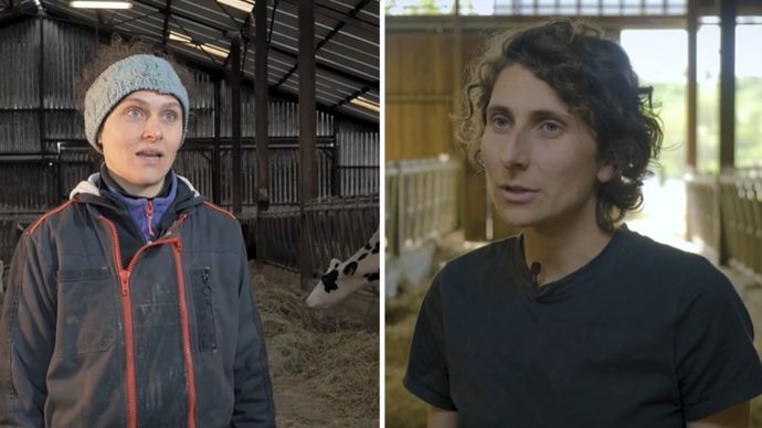 Actualité de l'élevage agricole - Web-agri.fr