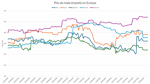 Les prix du maïs argentin sont particulièrement compétitifs en Europe.