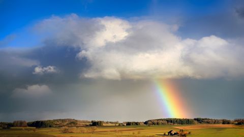 Des pluies bénéfiques sont finalement annoncées en France.