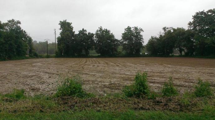 Certaines parcelles sont encore loin d'être prêtes à accueillir le semoir.