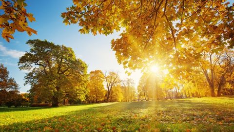En septembre, les températures maximales ont été en moyenne 4,5°C supérieures aux normales sur le pays.