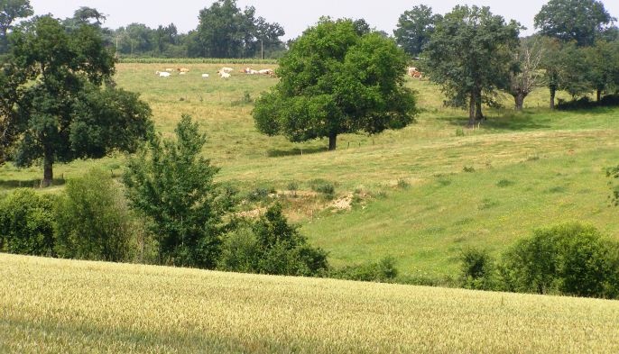 Dans les régions en transition, les prix du foncier tendent vers ceux en vigueur dans les zones de grandes cultures. Ce qui augmente la rentabilité des terres louées.